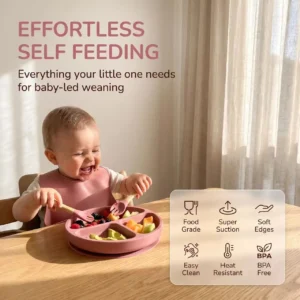 Baby Self Feeding Silicone Tableware Set